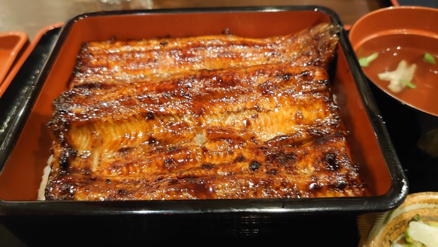 うなぎのお宿 虎ノ門店 まんぷく静岡 In 東京 うなぎのお宿 虎ノ門店 まんぷく静岡 In 東京